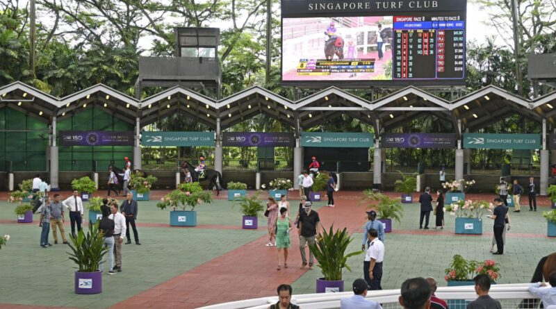 FEATURE: A 15-minute conference to wrap up 180 years of horse racing in Singapore.