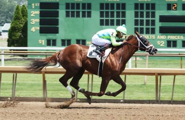 Saratoga Special 2023: 6-Horse Course Odds & Analysis